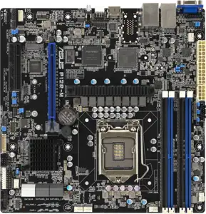 Server ASUS P12R-M