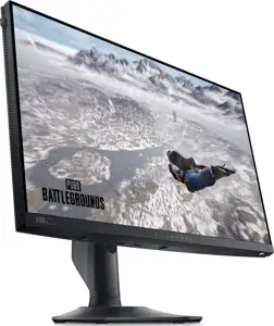Dell Flat Panel 25