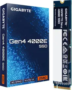 SSD 250GB Gigabyte Gen4 4000E PCI-E 4.0 NVMe 1.4