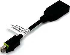 Adapter Mini DisplayPort to DisplayPort, Latching, 0.1m, PNY