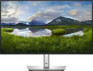 Monitor DELL Professional P2425HE 24