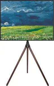 Techly ICA-TR50 TV mount 165.1 cm (65