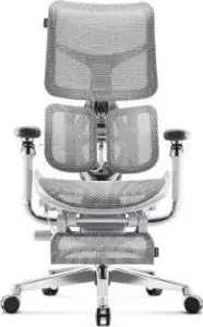 Diablo Brave V-Kinetic gaming chair grey