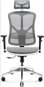Diablo V-BASIC gaming chair white and grey