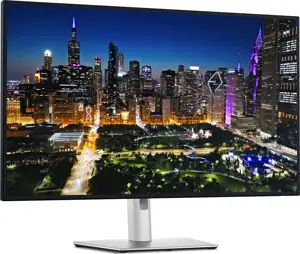 Dell Flat panel 32