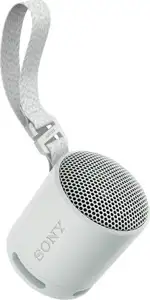 Sony Bluetooth zvučnik SRSXB100H sivi