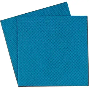 Thermal Grizzly Minus Pad Advance 100x100x0,5 mm