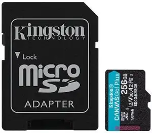 Canvas Go! Plus 256 GB microSDXC (black, UHS-I U3, Class 10, V30, A2)