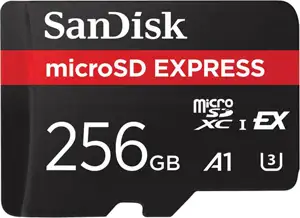 CARD EXPRESS MICRO 256GB