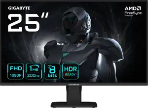 GIGABYTE GS25F2 25