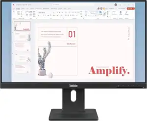 Monitor LENOVO ThinkVision E24-40 23,8