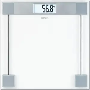 SGS 06 (transparent/silver)