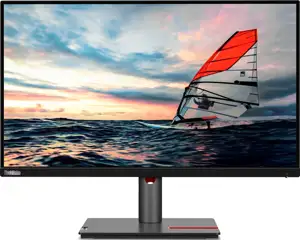 Lenovo ThinkVision P25i-30 LED display 62.2 cm (24.5