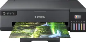 Epson EcoTank ET-18100 (black, USB, WLAN) C11CK38401