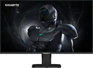 GIGABYTE GS25F2A 25