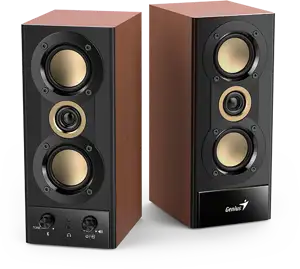 Genius zvučnik SP-HF800BT, 20W, USB, drveni