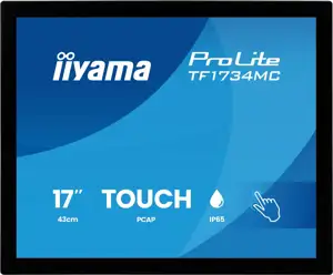 IIYAMA 43.0cm 17