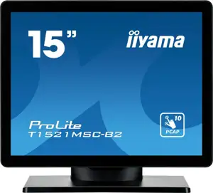IIYAMA 38.0cm 15