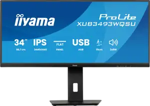 IIYAMA 34