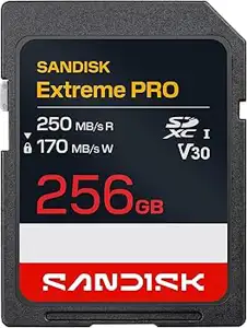 SanDisk Extreme Pro 256 GB SDXC UHS-I