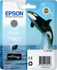 Tinta T7607 Light Black za SC-P600