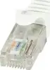 U/UTP prespojni kabel Cat.6 PVC CCA AWG24, bijeli, 5,0 m