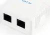 Gembird CAT5E UTP 2-port surface mount box