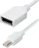 Transmedia Mini DisplayPort plug to DisplayPort jack, 15cm