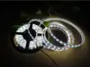 EcoVision LED traka 5m, 3528, 120 LED/m, 9.6W/m, 24V DC, 6000K, IP67