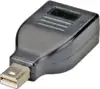 Roline adapter DisplayPort(F) na mini DisplayPort(M), 12.03.