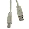 USB kabel 3m, AM - BM, Roline, bež