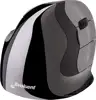 Evoluent VerticalMouse D Large - vertical mouse