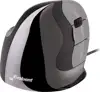 Evoluent VerticalMouse D Large - vertical mouse - USB