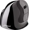 Evoluent VerticalMouse D Medium - mouse