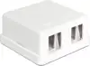 DeLOCK Keystone Surface Mounted Box - modular insert housing