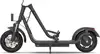 Electric folding scooter ELEMENT Lowrider Ultra 450W / 12" tires / 48V/16 Ah / range up to 75km (black)