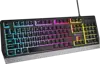 Genesis Rhod 300 RGB, gaming tipkovnica, USB