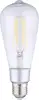 Home Shelly Plug & Play Beleuchtung "Vintage ST64" WLAN LED Lampe