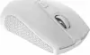 CANYON MW-7, 2.4Ghz wireless mouse, 6 buttons, DPI 800/1200/1600, with 1 AA battery ,size 110*60*37mm,58g,white