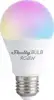 Home Shelly Plug & Play Beleuchtung "Duo RGBW E27" WLAN LED Lampe