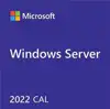 Windows Server CAL 2022 English 1pk DSP OEI 5 Clt Device CAL