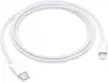 Apple USB-C to Lightning Cable (1 m)