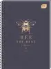 Blok kolegij B5 karo 160L perforacija+2rupe rub u boji Inter