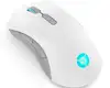 Lenovo Legion M600 Wireless Gaming mouse Ambidextrous RF Wireless + Bluetooth + USB Type-A Optical 16000 DPI