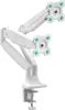 ONKRON Dual Monitor Desk Mount Stand for 13 to 32-Inch LCD LED Monitors up to 9 kg, White