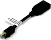 Adapter Mini DisplayPort to DisplayPort, Latching, 0.1m, PNY