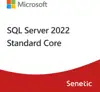 SQL Server 2022 Standard Core - 2 Core License Pack- Commercial, DG7GMGF0M7XW:0002