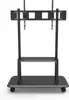 Techly ICA-TR31 signage display mount 3.05 m (120") Black