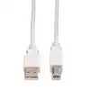 Roline VALUE USB2.0 kabel TIP A-B M/M, 1.8m-11.99.8819