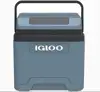 IGLOO Thermo Electric Cooler Bag IE24 DC 12